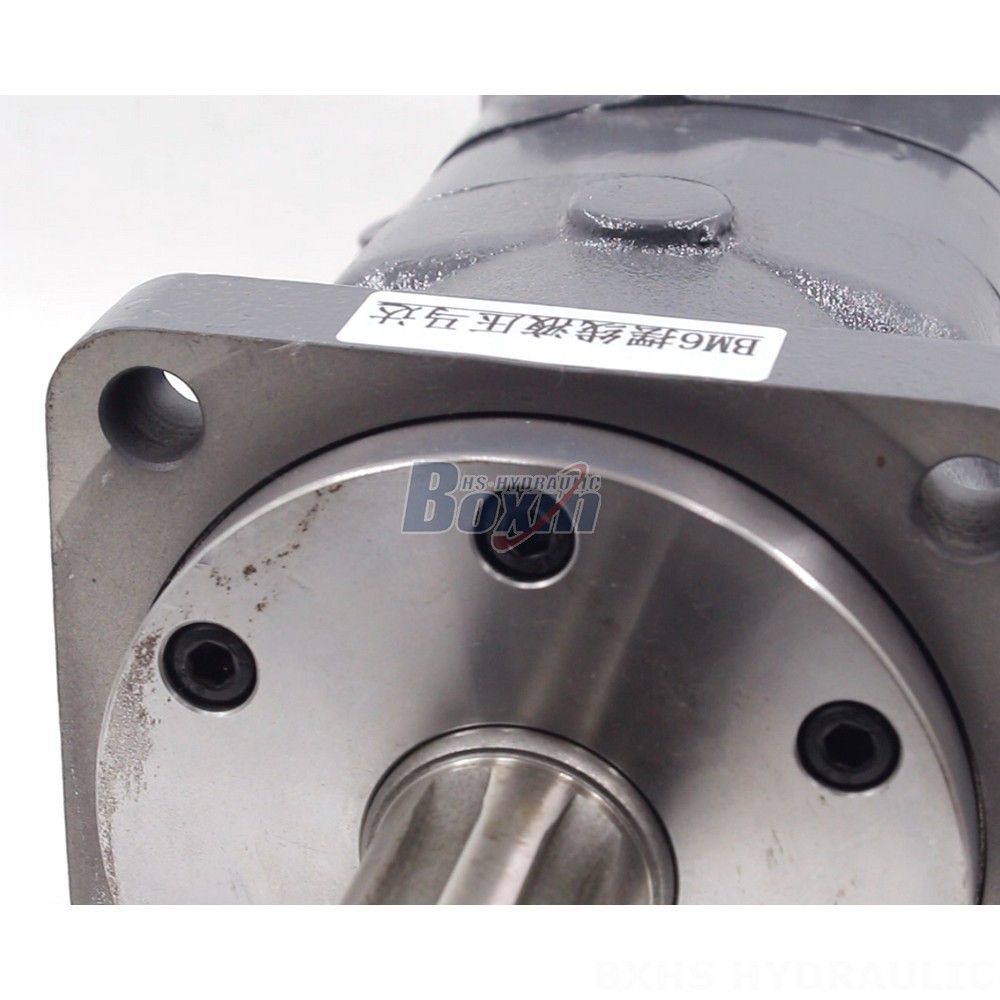High-Performance BM6 Cycloid Hydraulic Motor - 195 cc/r, 150 Lpm detail image
